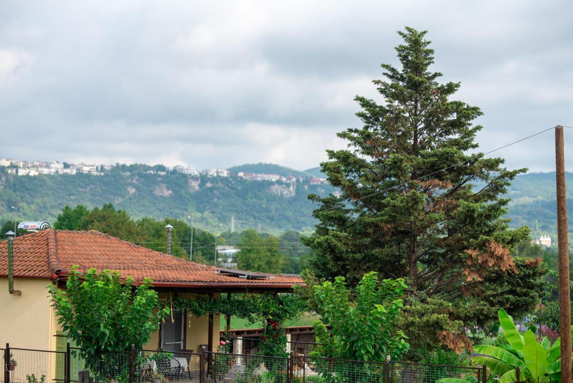 Cottage Lina Edesa Zewnętrze zdjęcie